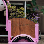 Chanty Cargo Kid – Pink inkl. hjelm, flaskeholder, håndtag i 2 farver og ringklokke - BørnecyklerneChantyBørnecyklernePink: BLC16 - LYRChanty Cargo Kid – Pink inkl. hjelm, flaskeholder, håndtag i 2 farver og ringklokke