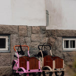 Søskendepakken - 2 børneladcykler inkl. hjelm, flaskeholder, håndtag i 2 farver og ringklokke - BørnecyklerneChantyBørnecyklerneSortSøskendepakken - 2 børneladcykler inkl. hjelm, flaskeholder, håndtag i 2 farver og ringklokkeSort